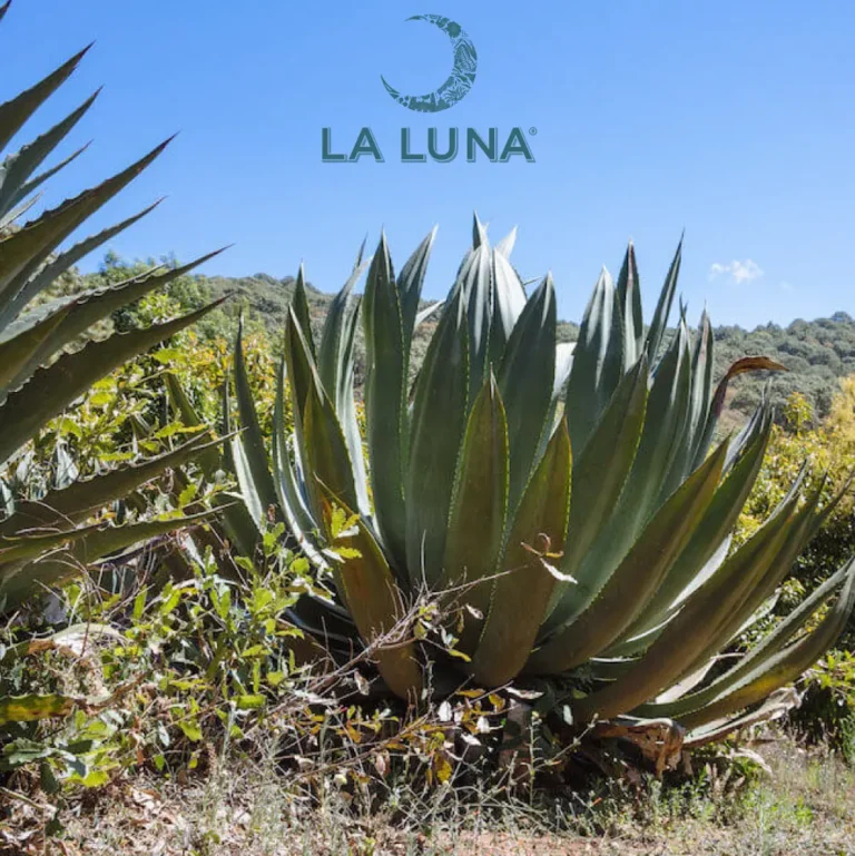la luna-07