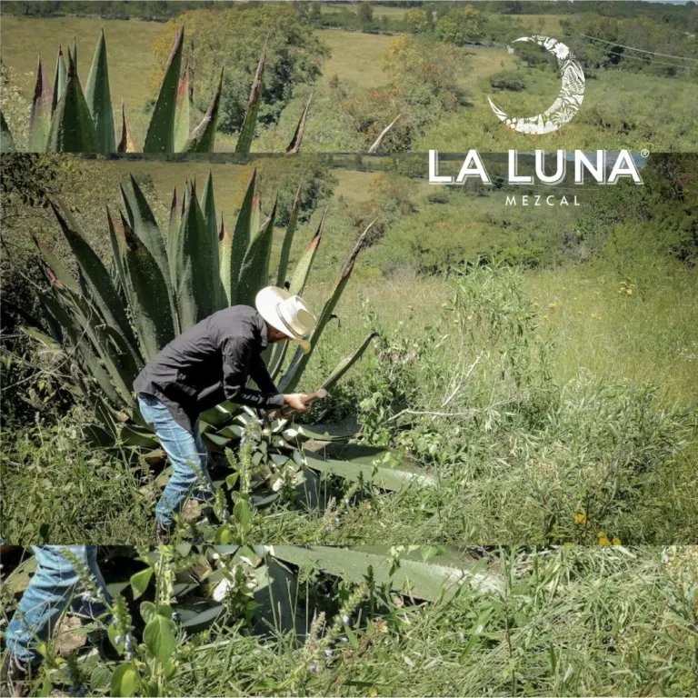 la luna-12