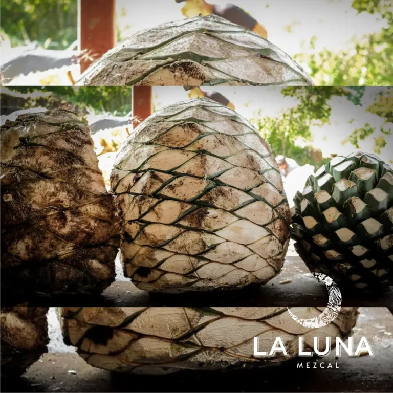 la luna-15