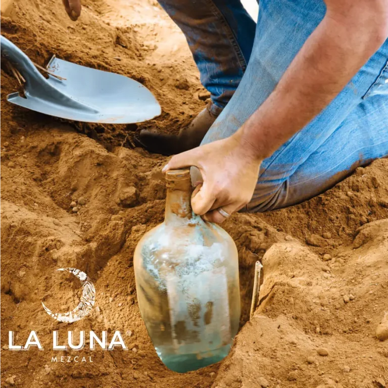 la luna_Mesa de trabajo 1