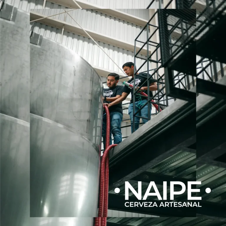 naipe-03