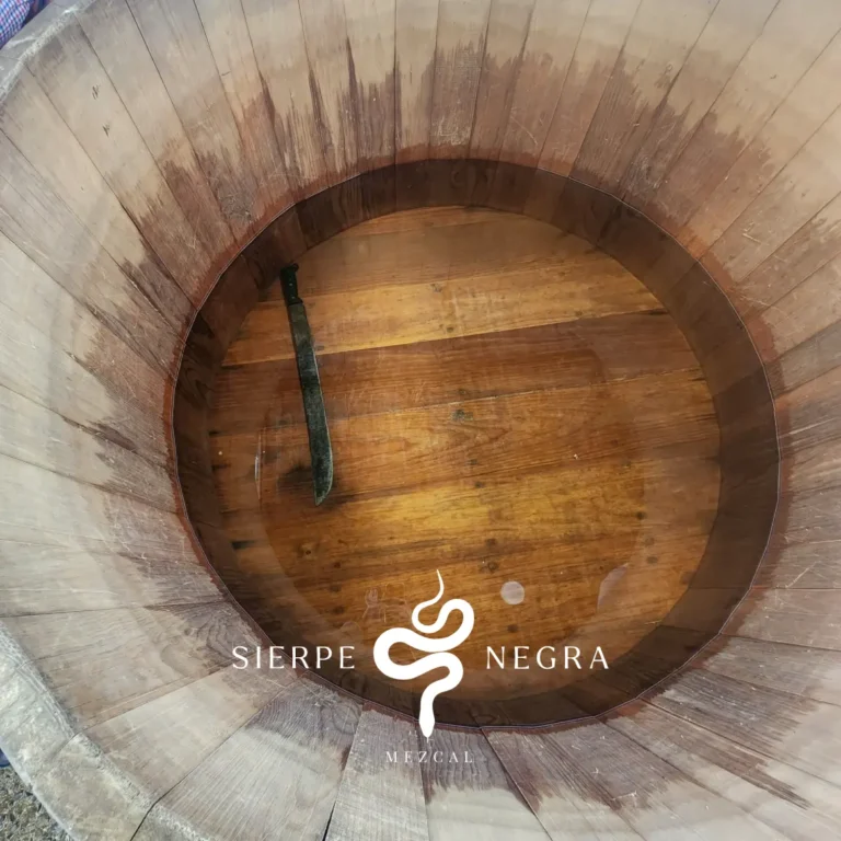 sierpe-03