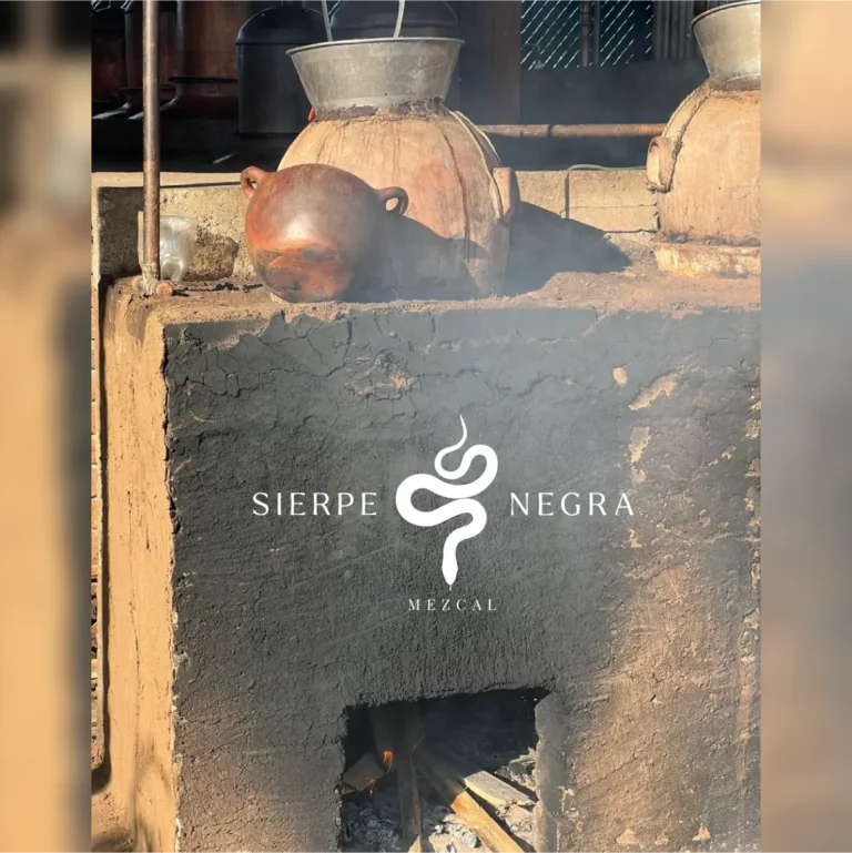 sierpe-05