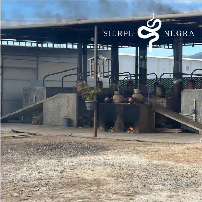 sierpe-06