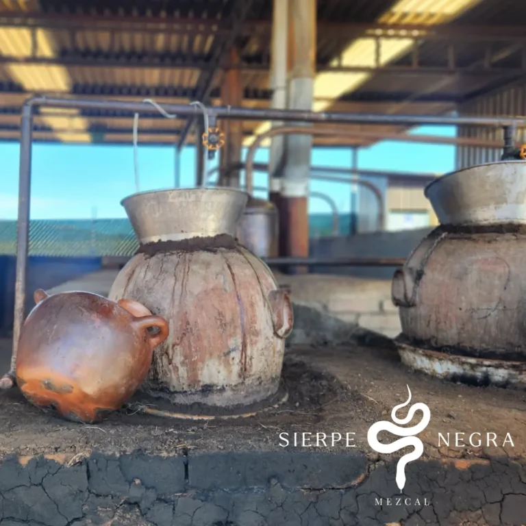sierpe-09