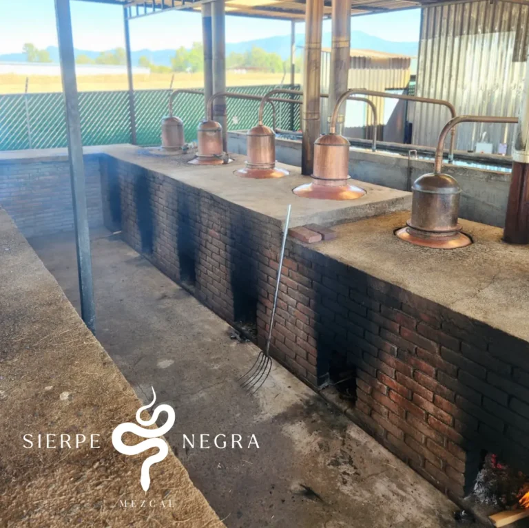 sierpe-10