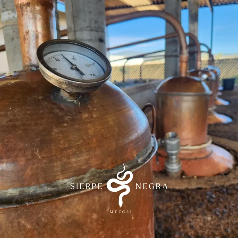 sierpe_Mesa de trabajo 1